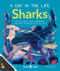 A Day in the Life: Sharks (WB)