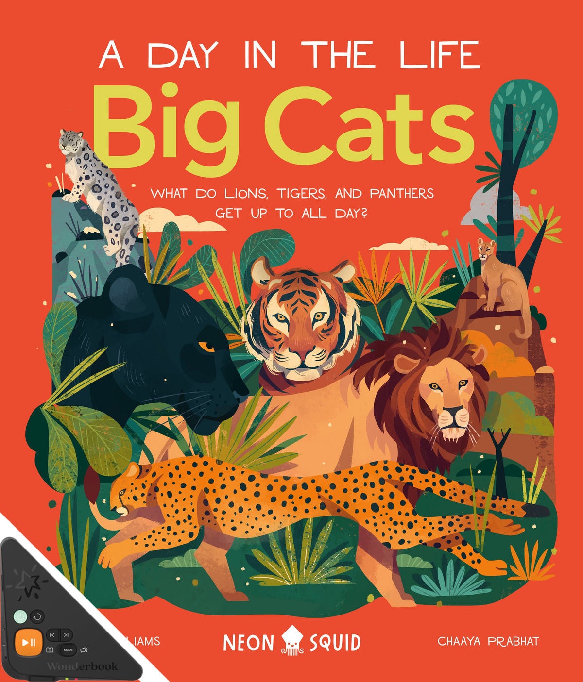 A Day in the Life: Big Cats (WB)