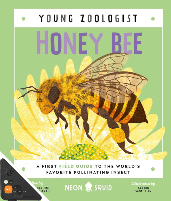 Young Zoologist: Honey Bee (WB)