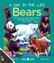 A Day in the Life: Bears (WB)