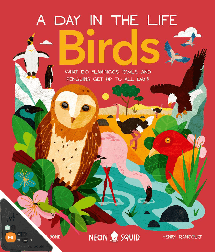 A Day in the Life: Birds (WB)