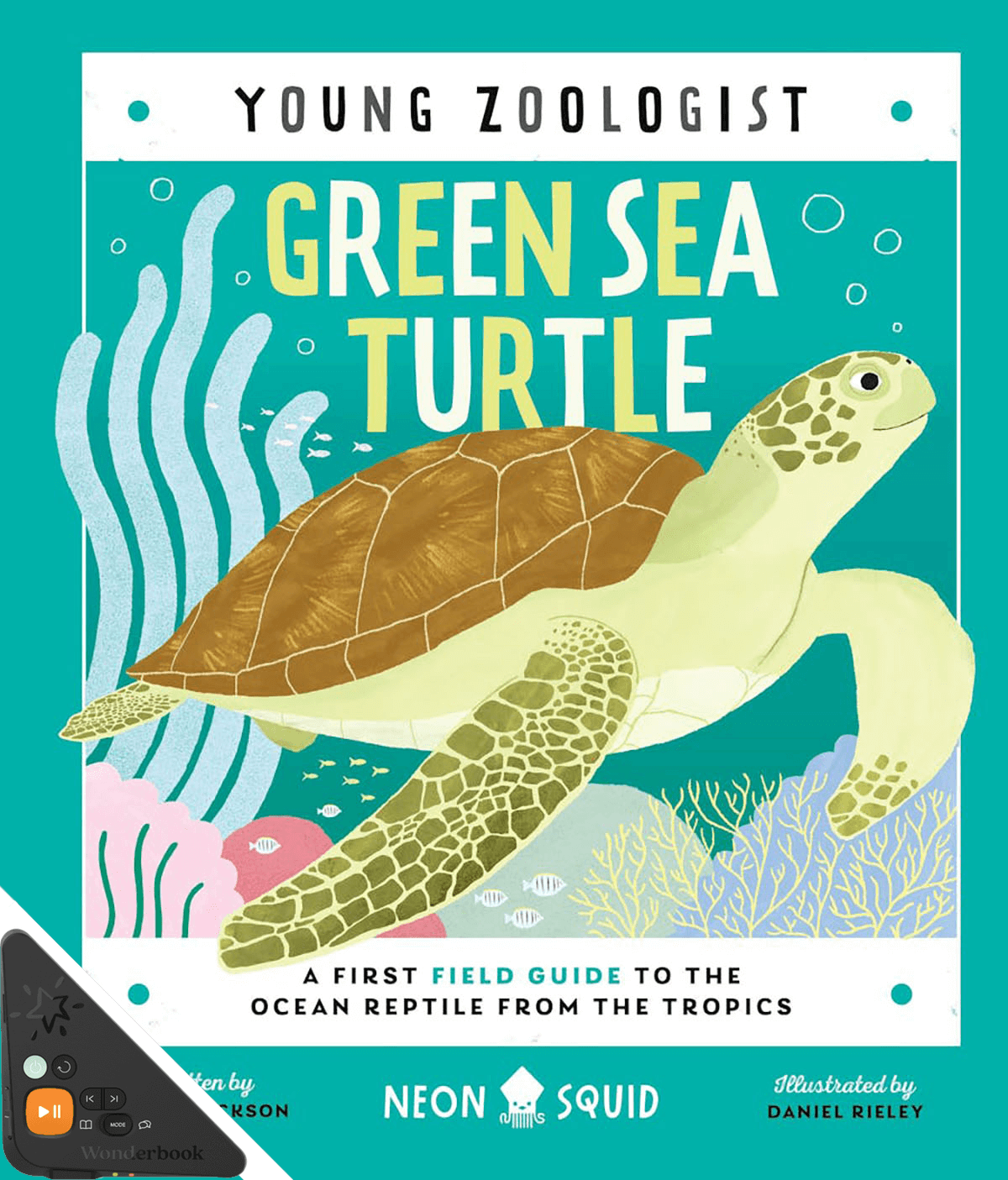 Young Zoologist: Green Sea Turtle