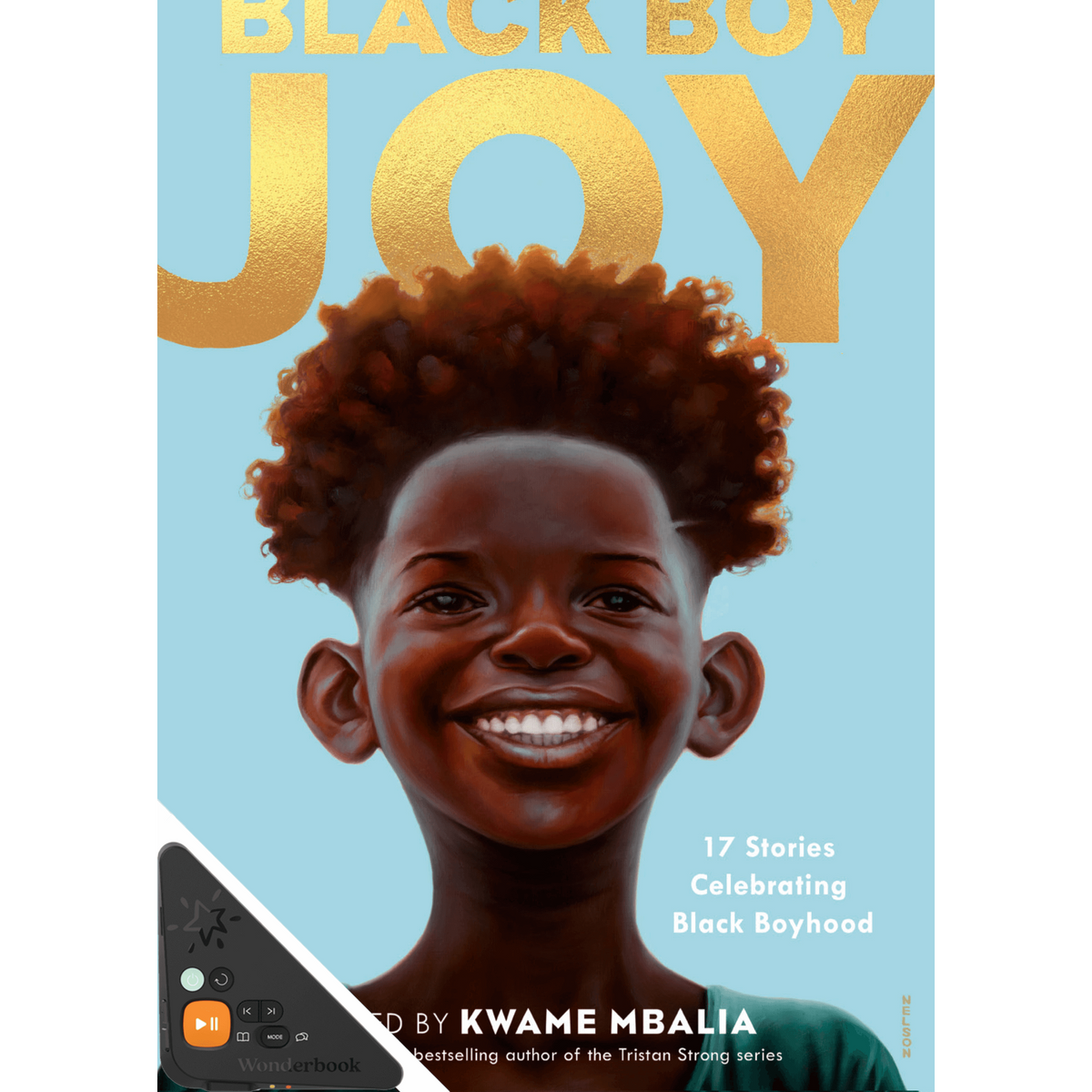 Black Boy Joy: 17 Stories Celebrating Black Boyhood (Large Print) (WB)