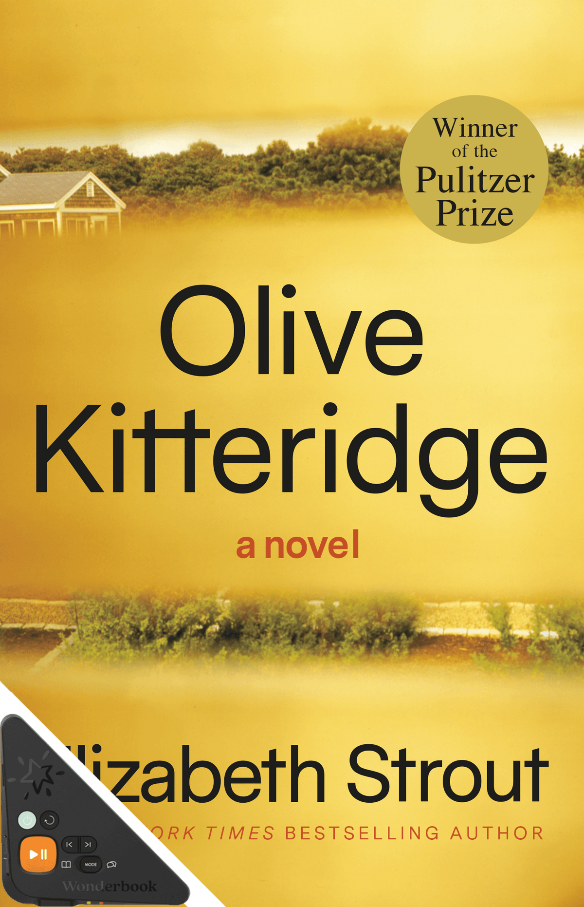 Olive Kitteridge (WB)
