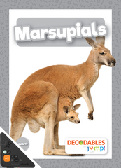 Marsupials (WB)
