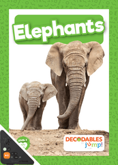 Elephants (WB)