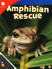 Amphibian Rescue