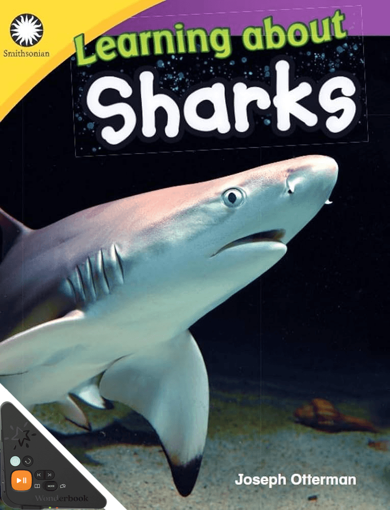 Learning about Sharks (WB)