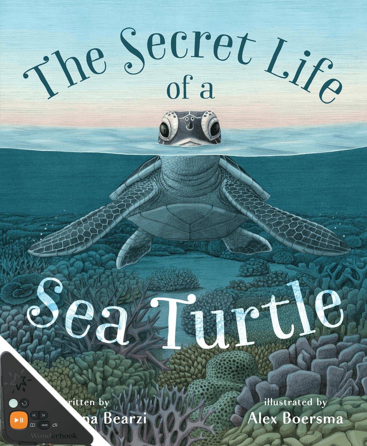 The Secret Life of a Sea Turtle (WB)