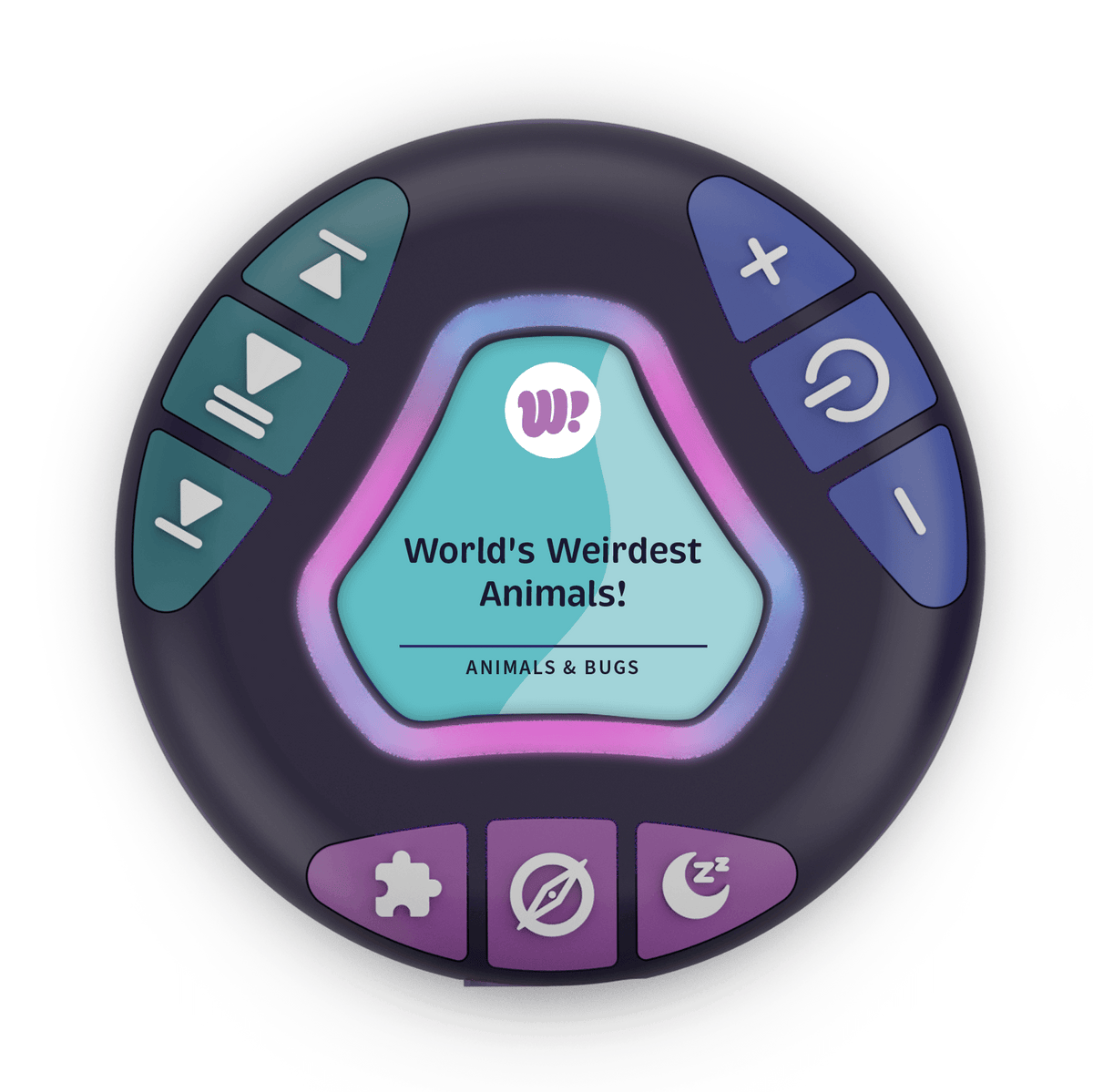 World's Weirdest Animals!