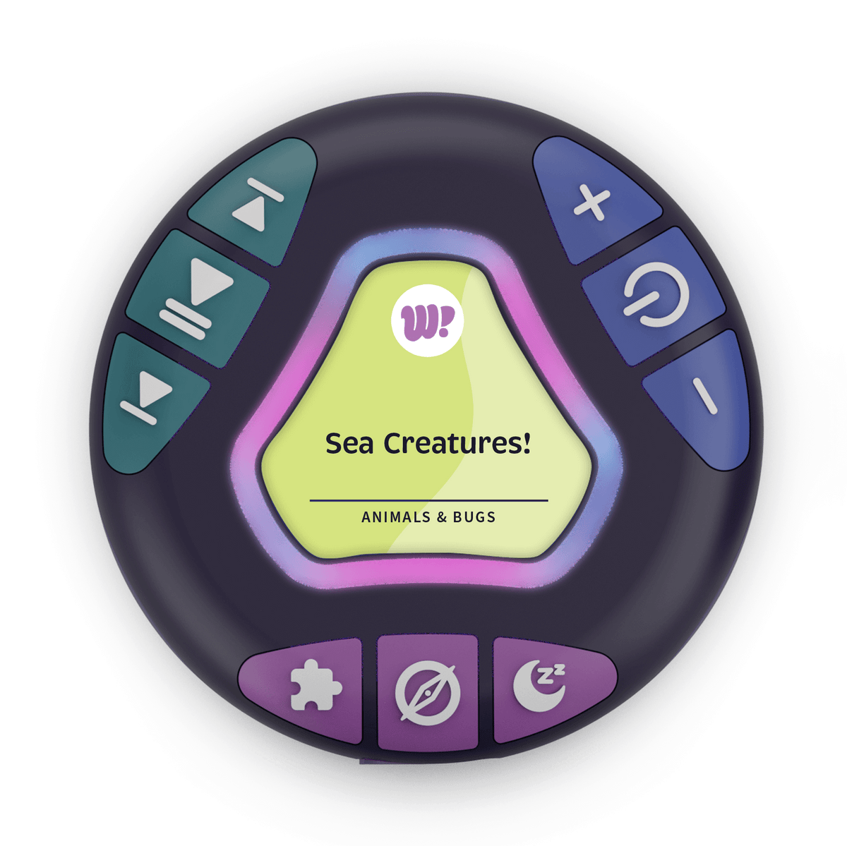 Sea Creatures!