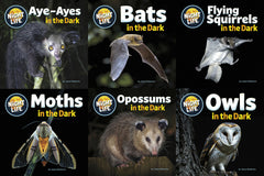 Animals After Dark