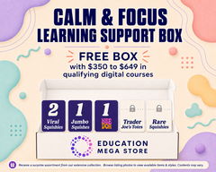 Calm & Focus Learning Support Box (EMS)