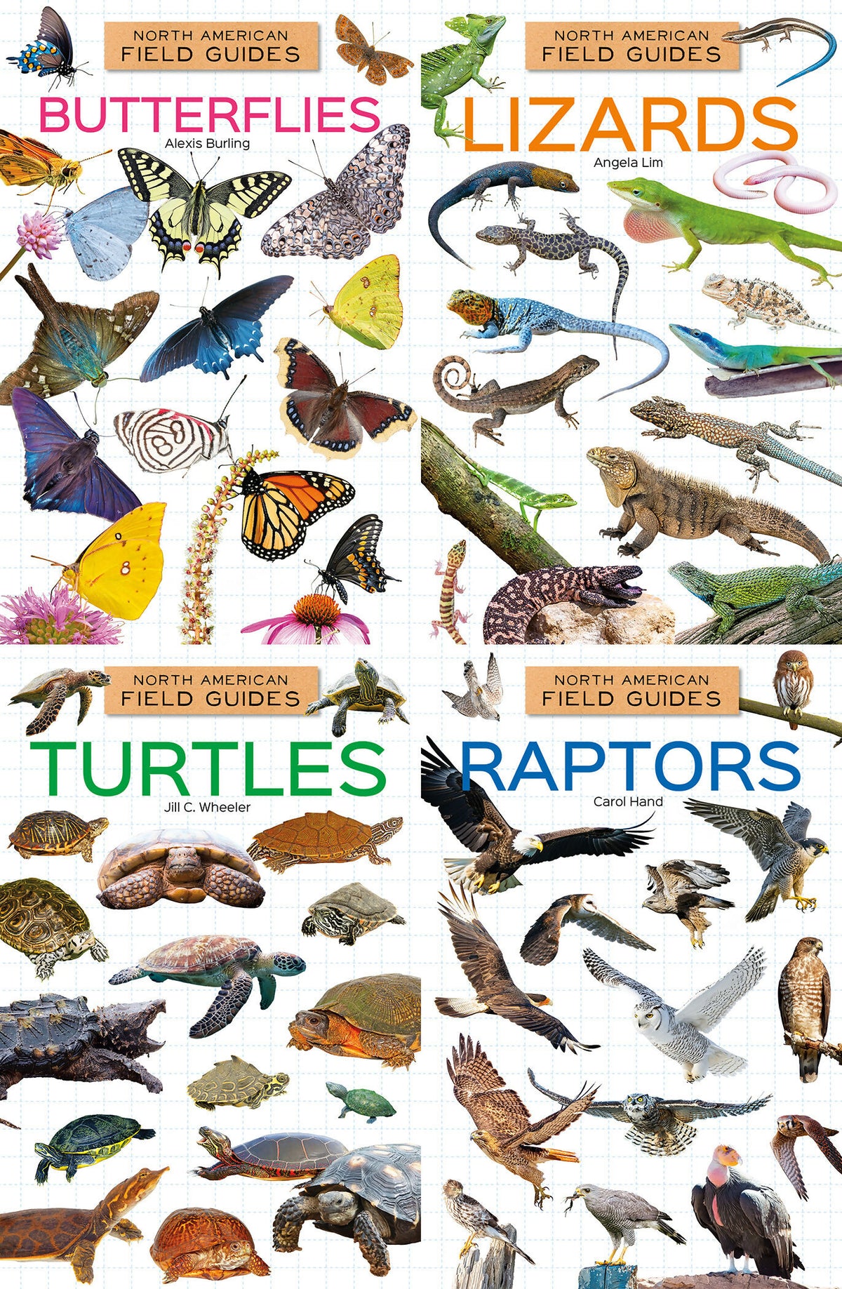 North American Field Guide #3