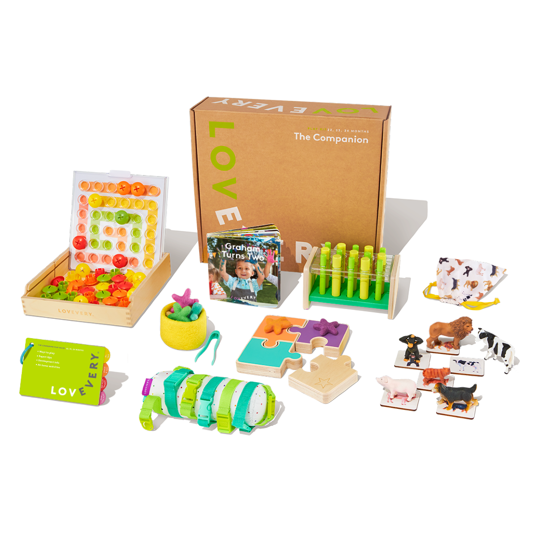 Problem Solving and Independent Learning Kit - Lovevery Companion Kit