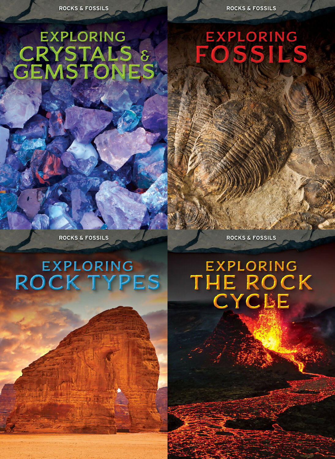 Rocks & Fossils