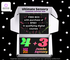 Ultimate Sensory Learning Support Box (EMS)